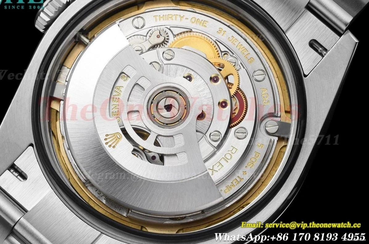 Black Explorer 40mm SS VS3230 224270 SS Dial VSF I 0129